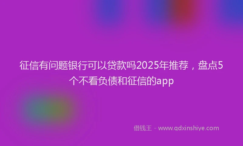 征信有问题银行可以贷款吗2025年推荐，盘点5个不看负债和征信的app