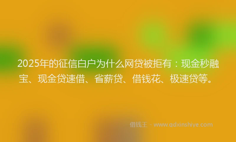2025年的征信白户为什么网贷被拒有：现金秒融宝、现金贷速借、省薪贷、借钱花、极速贷等。