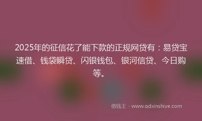 2025年的征信花了能下款的正规网贷有：易贷宝速借、钱袋瞬贷、闪银钱包、银河信贷、今日购等。