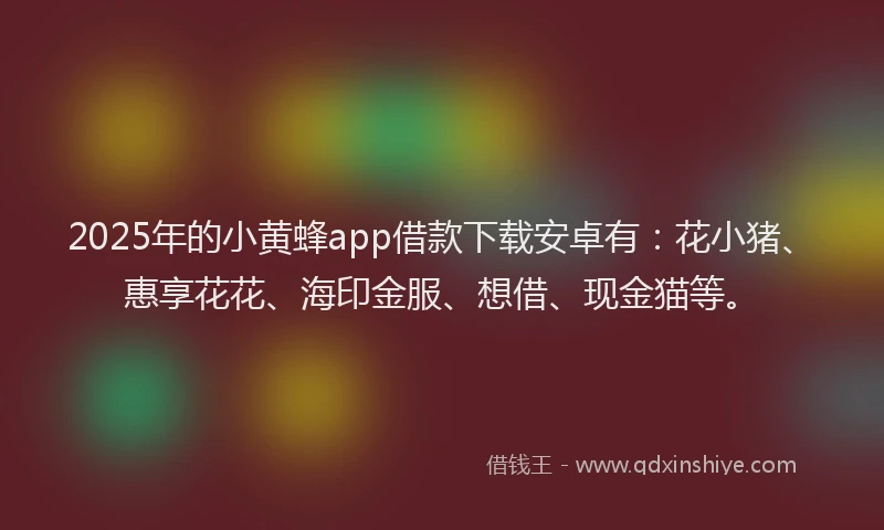 2025年的小黄蜂app借款下载安卓有：花小猪、惠享花花、海印金服、想借、现金猫等。