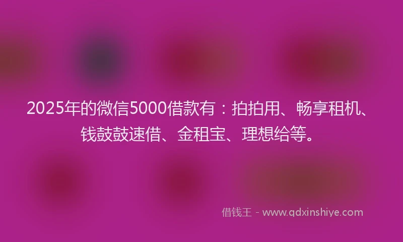 2025年的微信5000借款有：拍拍用、畅享租机、钱鼓鼓速借、金租宝、理想给等。