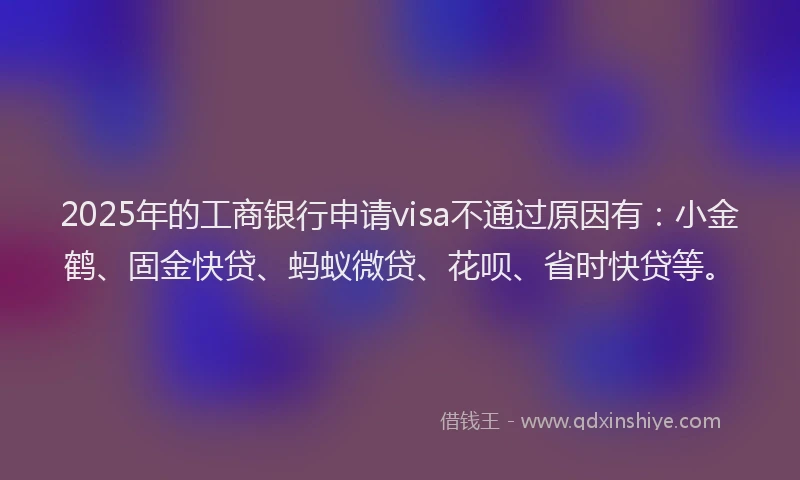 2025年的工商银行申请visa不通过原因有：小金鹤、固金快贷、蚂蚁微贷、花呗、省时快贷等。
