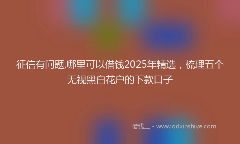 征信有问题,哪里可以借钱2025年精选，梳理五个无视黑白花户的下款口子