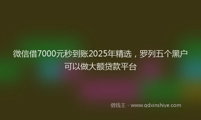 微信借7000元秒到账2025年精选，罗列五个黑户可以做大额贷款平台