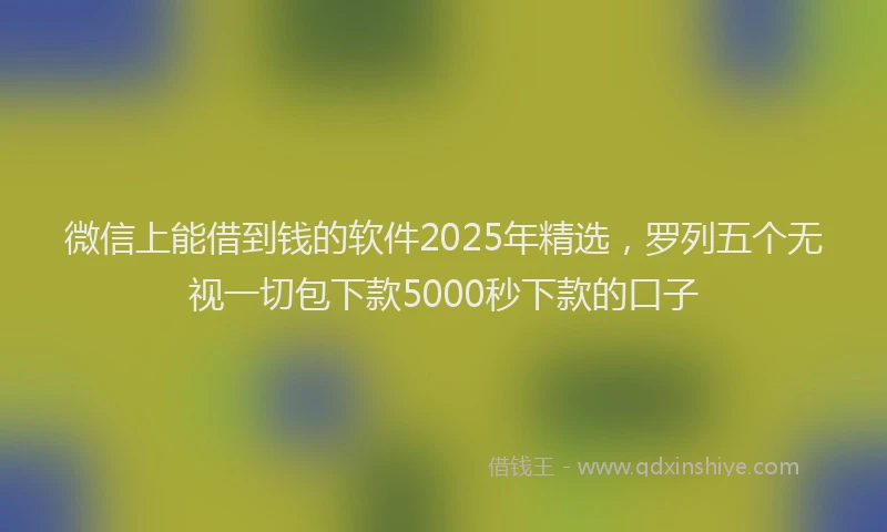 微信上能借到钱的软件2025年精选，罗列五个无视一切包下款5000秒下款的口子