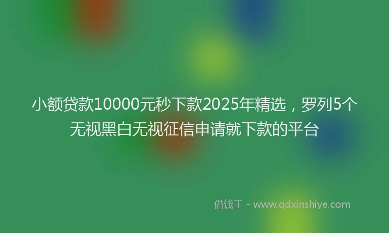 小额贷款10000元秒下款2025年精选，罗列5个无视黑白无视征信申请就下款的平台