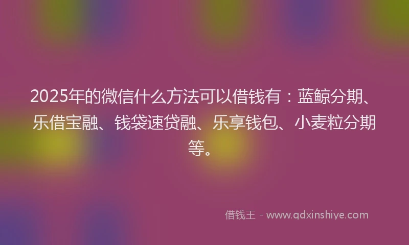 2025年的微信什么方法可以借钱有：蓝鲸分期、乐借宝融、钱袋速贷融、乐享钱包、小麦粒分期等。