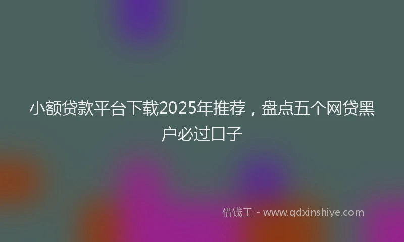 小额贷款平台下载2025年推荐，盘点五个网贷黑户必过口子