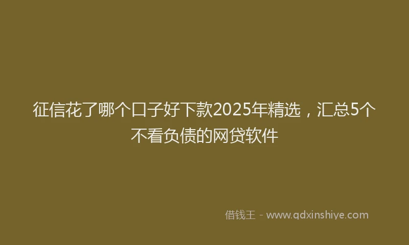 征信花了哪个口子好下款2025年精选，汇总5个不看负债的网贷软件