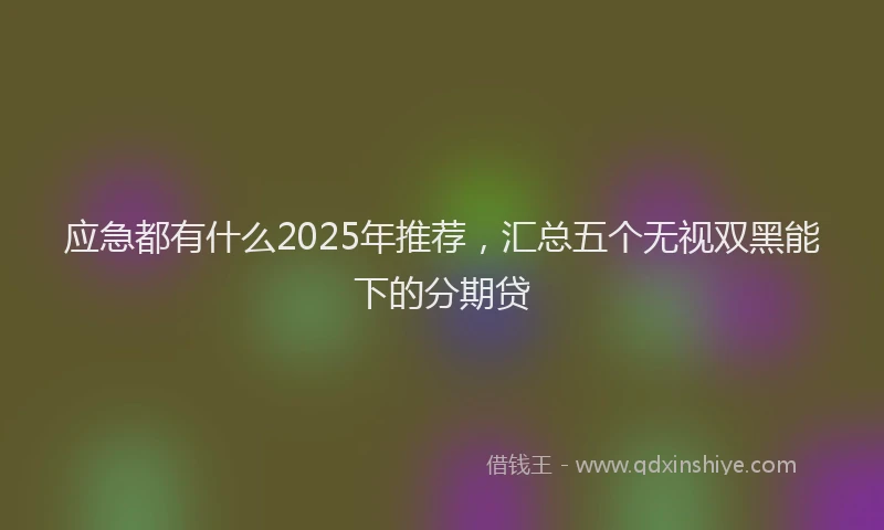 应急都有什么2025年推荐，汇总五个无视双黑能下的分期贷