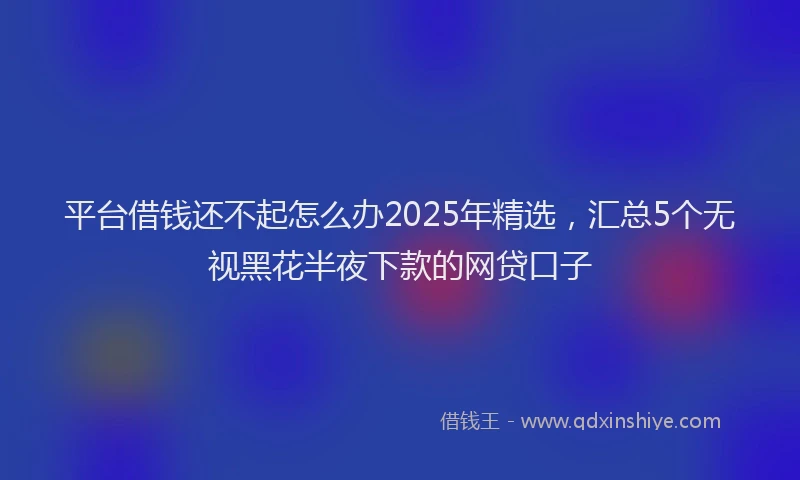 平台借钱还不起怎么办2025年精选，汇总5个无视黑花半夜下款的网贷口子
