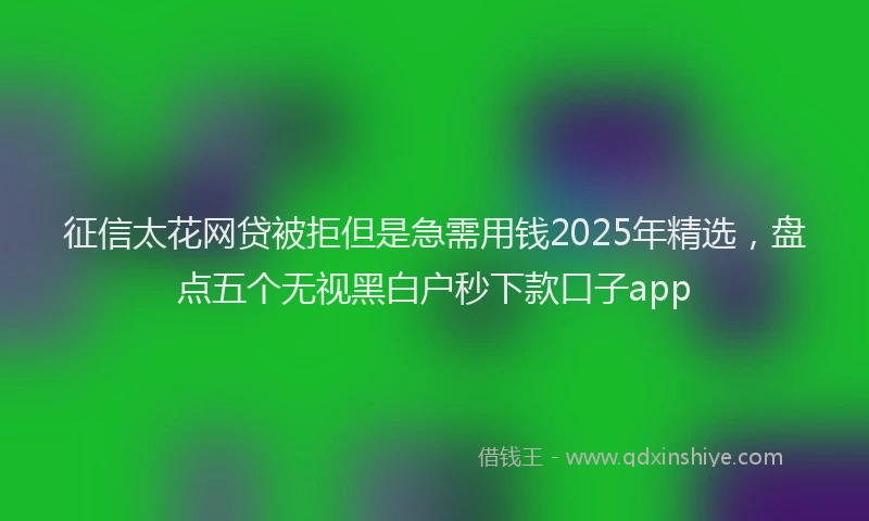 征信太花网贷被拒但是急需用钱2025年精选，盘点五个无视黑白户秒下款口子app