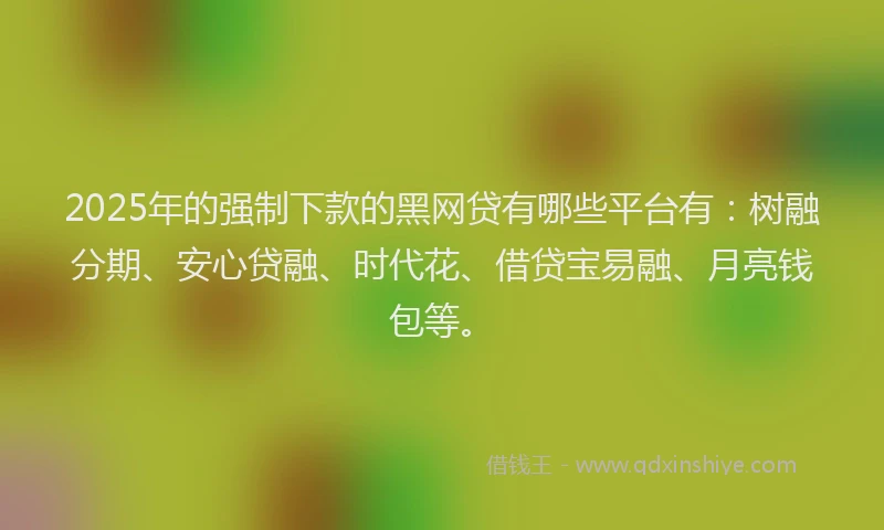 2025年的强制下款的黑网贷有哪些平台有：树融分期、安心贷融、时代花、借贷宝易融、月亮钱包等。