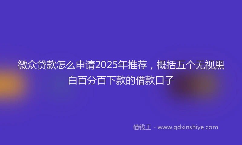 微众贷款怎么申请2025年推荐，概括五个无视黑白百分百下款的借款口子