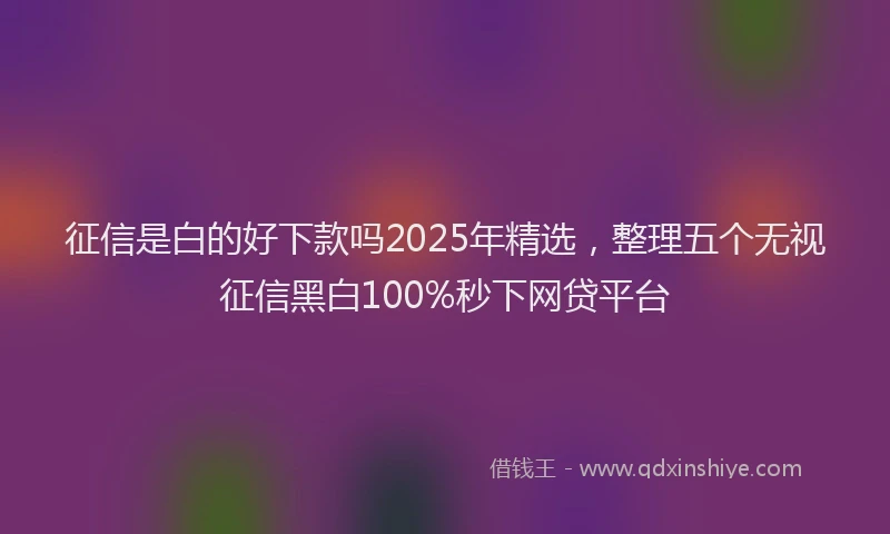 征信是白的好下款吗2025年精选，整理五个无视征信黑白100%秒下网贷平台