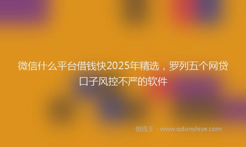 微信什么平台借钱快2025年精选，罗列五个网贷口子风控不严的软件