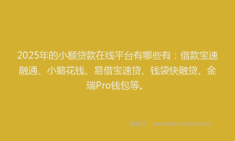 2025年的小额贷款在线平台有哪些有：借款宝速融通、小鹅花钱、易借宝速贷、钱袋快融贷、金瑞Pro钱包等。