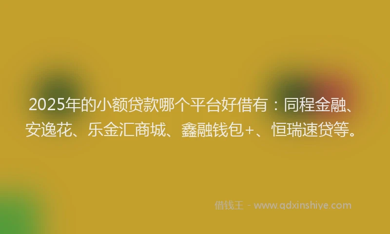 2025年的小额贷款哪个平台好借有：同程金融、安逸花、乐金汇商城、鑫融钱包+、恒瑞速贷等。