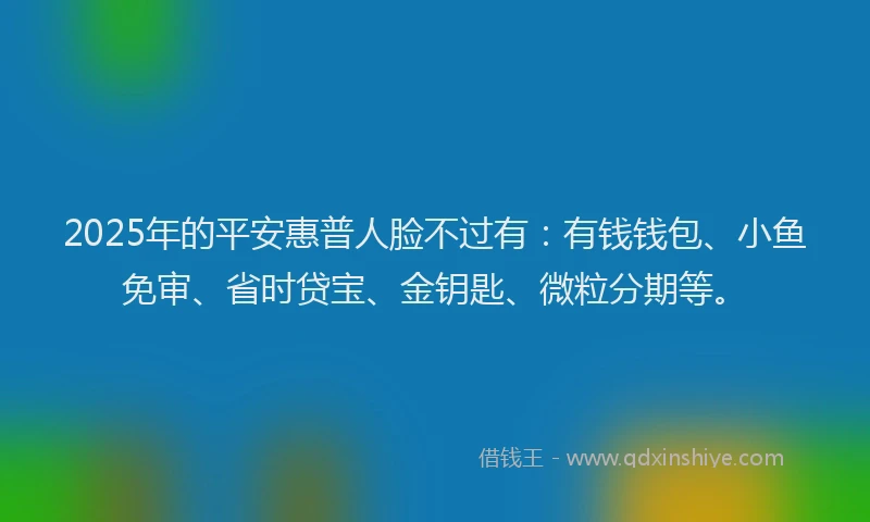2025年的平安惠普人脸不过有：有钱钱包、小鱼免审、省时贷宝、金钥匙、微粒分期等。