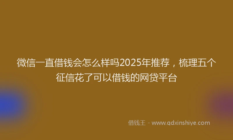 微信一直借钱会怎么样吗2025年推荐，梳理五个征信花了可以借钱的网贷平台