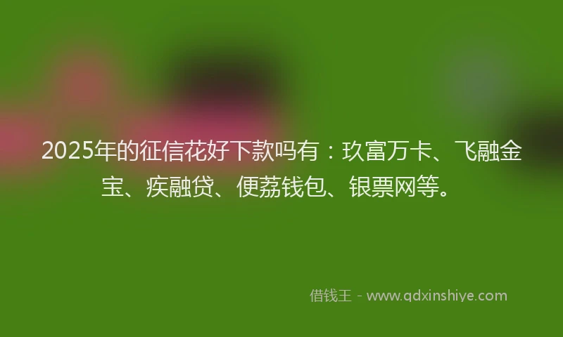2025年的征信花好下款吗有：玖富万卡、飞融金宝、疾融贷、便荔钱包、银票网等。
