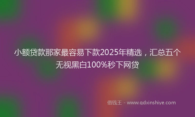 小额贷款那家最容易下款2025年精选，汇总五个无视黑白100%秒下网贷