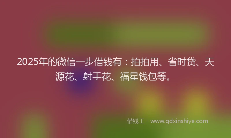 2025年的微信一步借钱有：拍拍用、省时贷、天源花、射手花、福星钱包等。