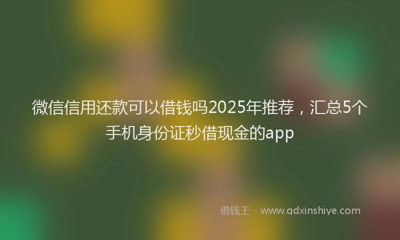 微信信用还款可以借钱吗2025年推荐，汇总5个手机身份证秒借现金的app