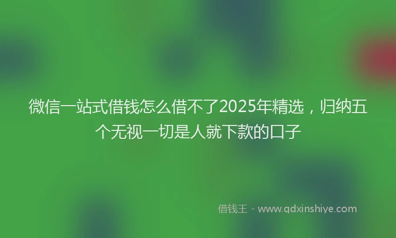 微信一站式借钱怎么借不了2025年精选，归纳五个无视一切是人就下款的口子