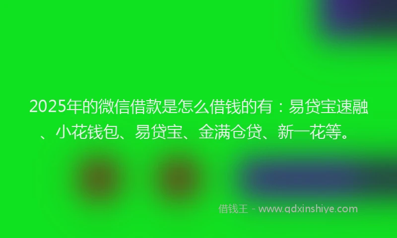 2025年的微信借款是怎么借钱的有：易贷宝速融、小花钱包、易贷宝、金满仓贷、新一花等。