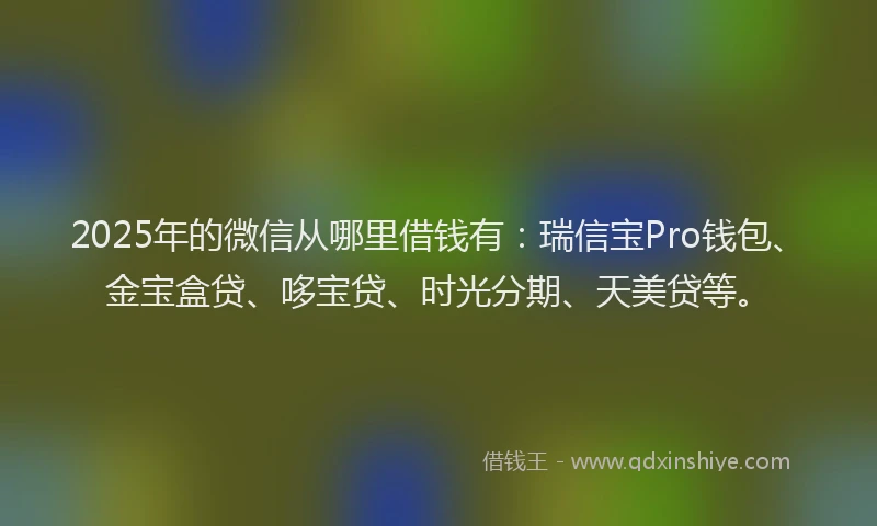 2025年的微信从哪里借钱有：瑞信宝Pro钱包、金宝盒贷、哆宝贷、时光分期、天美贷等。