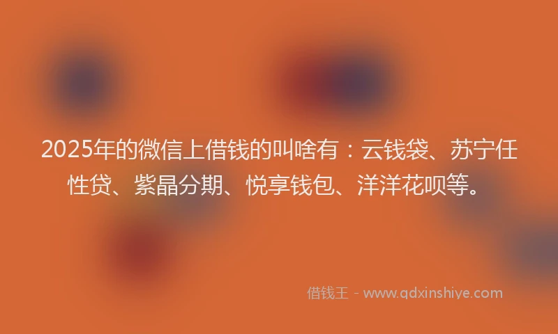 2025年的微信上借钱的叫啥有：云钱袋、苏宁任性贷、紫晶分期、悦享钱包、洋洋花呗等。