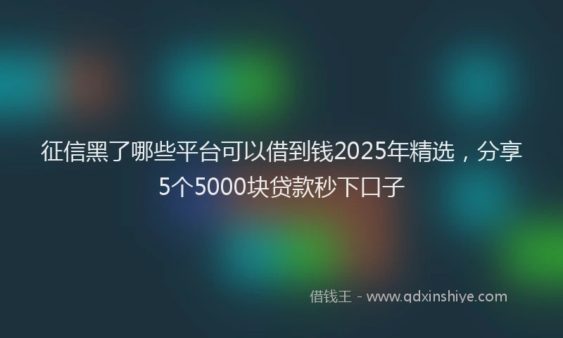 征信黑了哪些平台可以借到钱2025年精选，分享5个5000块贷款秒下口子