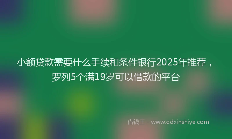 小额贷款需要什么手续和条件银行2025年推荐，罗列5个满19岁可以借款的平台