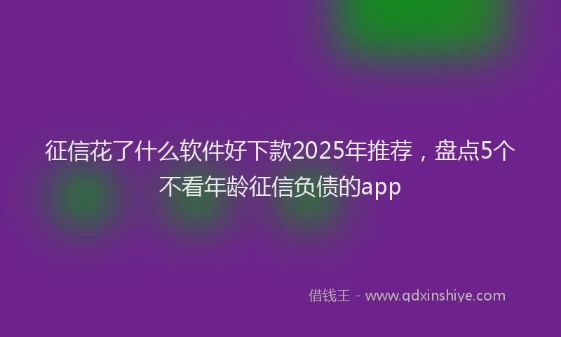 征信花了什么软件好下款2025年推荐，盘点5个不看年龄征信负债的app