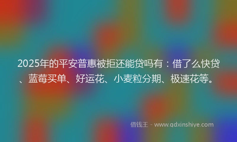 2025年的平安普惠被拒还能贷吗有：借了么快贷、蓝莓买单、好运花、小麦粒分期、极速花等。