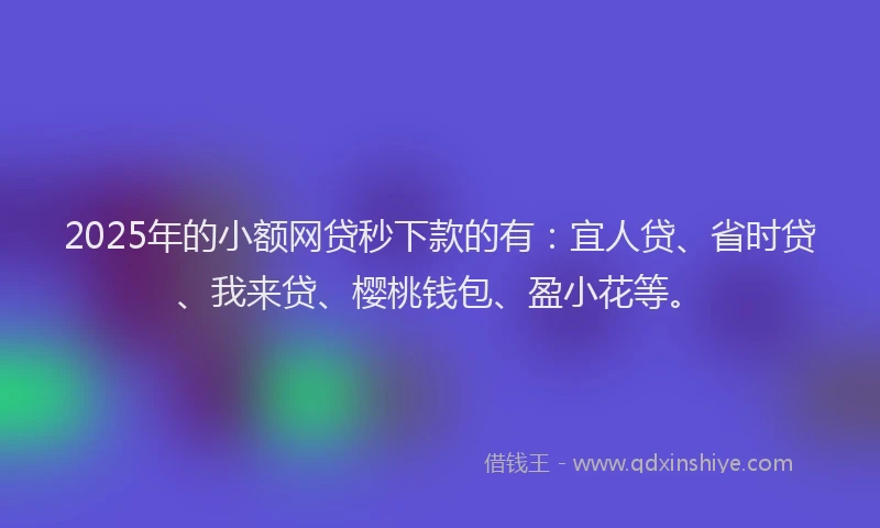 2025年的小额网贷秒下款的有：宜人贷、省时贷、我来贷、樱桃钱包、盈小花等。