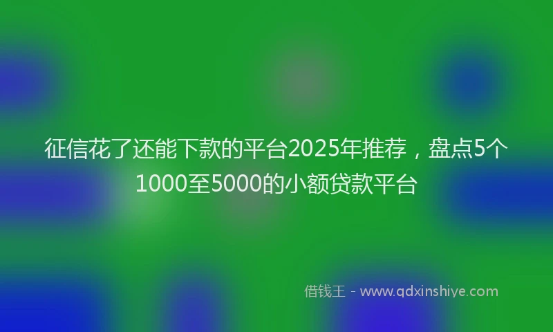 征信花了还能下款的平台2025年推荐，盘点5个1000至5000的小额贷款平台