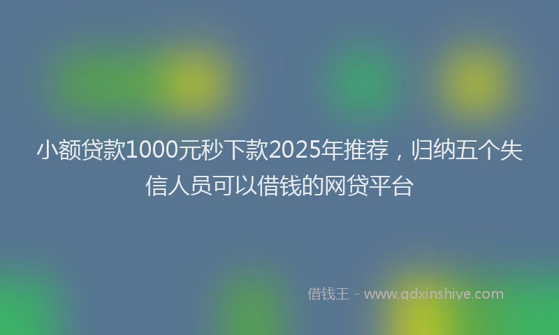 小额贷款1000元秒下款2025年推荐，归纳五个失信人员可以借钱的网贷平台
