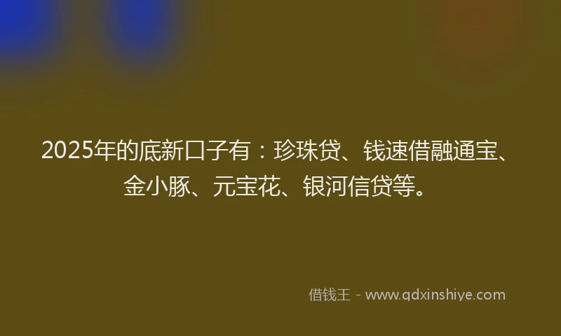 2025年的底新口子有：珍珠贷、钱速借融通宝、金小豚、元宝花、银河信贷等。