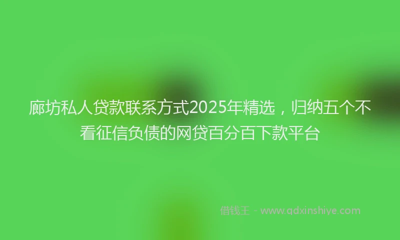 廊坊私人贷款联系方式2025年精选，归纳五个不看征信负债的网贷百分百下款平台