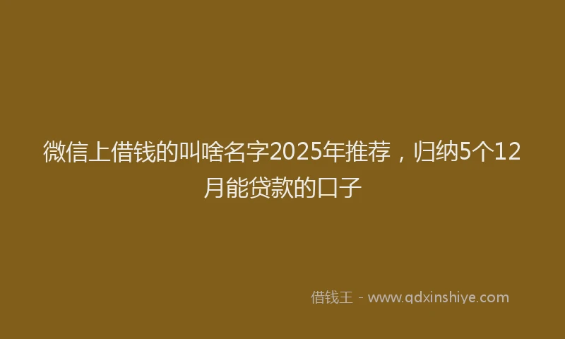 微信上借钱的叫啥名字2025年推荐，归纳5个12月能贷款的口子