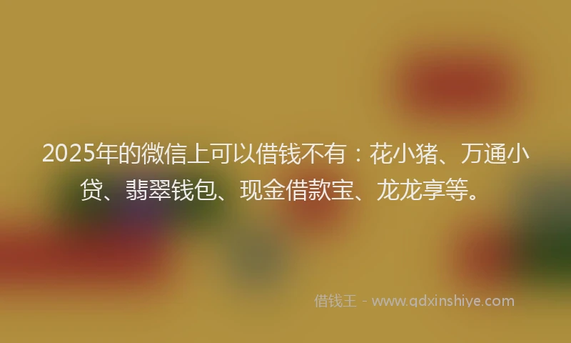 2025年的微信上可以借钱不有：花小猪、万通小贷、翡翠钱包、现金借款宝、龙龙享等。
