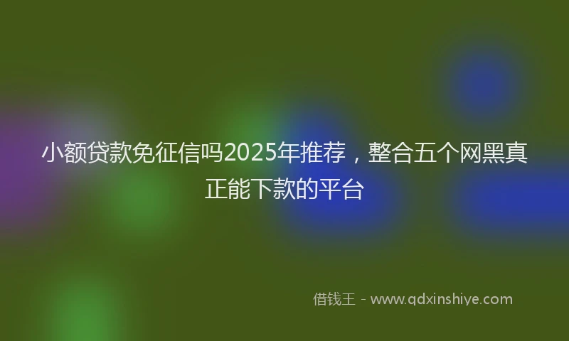 小额贷款免征信吗2025年推荐，整合五个网黑真正能下款的平台