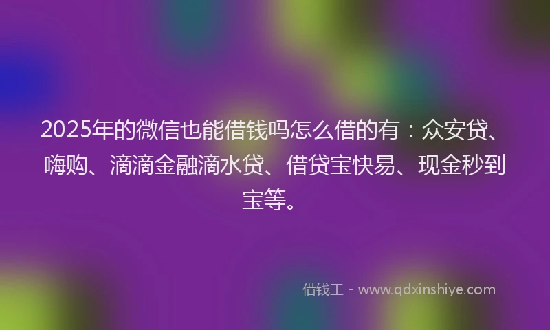 2025年的微信也能借钱吗怎么借的有：众安贷、嗨购、滴滴金融滴水贷、借贷宝快易、现金秒到宝等。