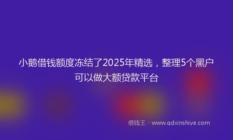 小鹅借钱额度冻结了2025年精选，整理5个黑户可以做大额贷款平台