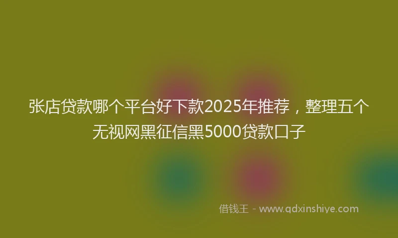 张店贷款哪个平台好下款2025年推荐，整理五个无视网黑征信黑5000贷款口子