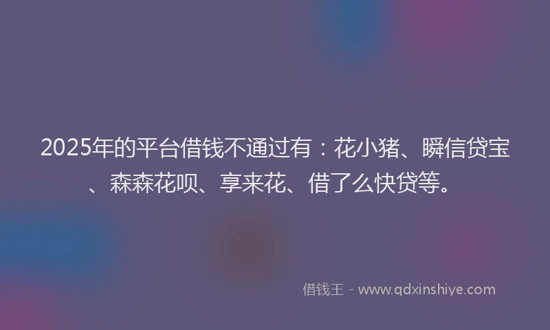 2025年的平台借钱不通过有：花小猪、瞬信贷宝、森森花呗、享来花、借了么快贷等。