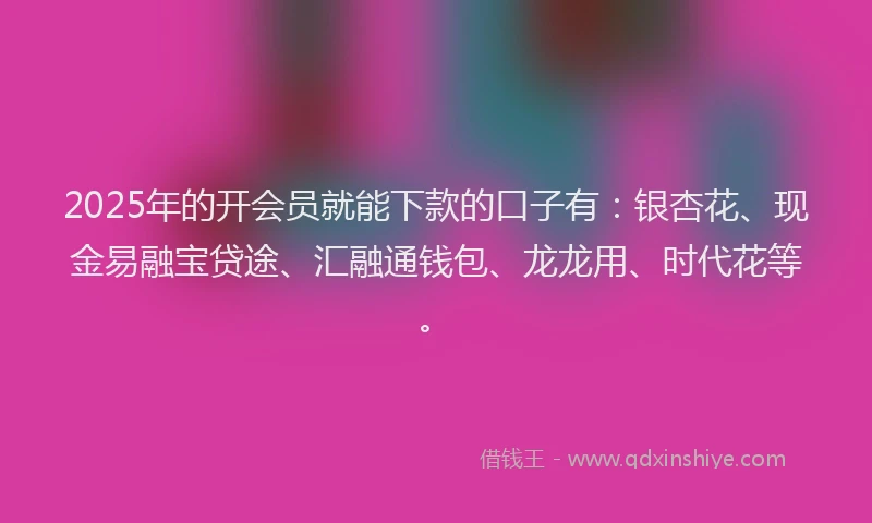 2025年的开会员就能下款的口子有：银杏花、现金易融宝贷途、汇融通钱包、龙龙用、时代花等。