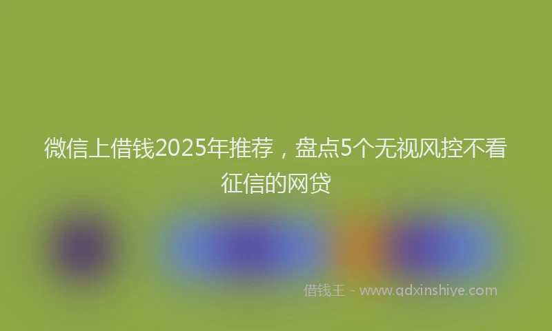 微信上借钱2025年推荐，盘点5个无视风控不看征信的网贷